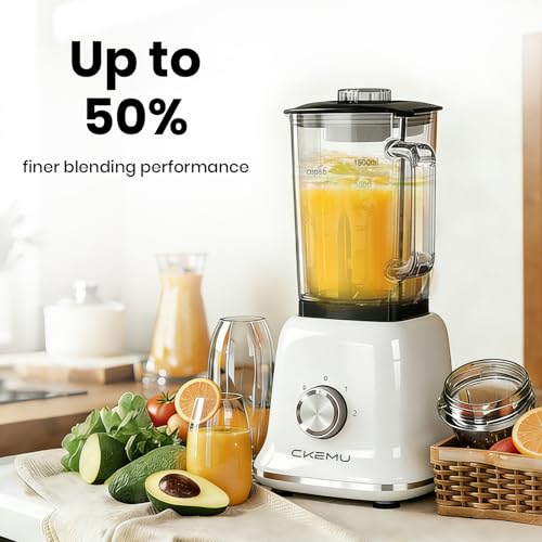 Blender For Kale Smoothies