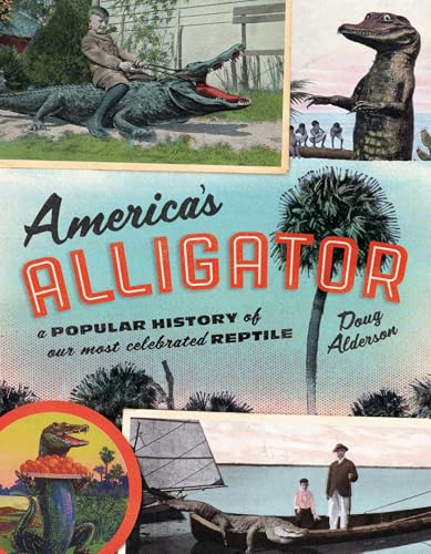 America's Alligator view 2