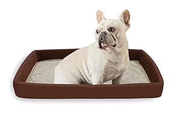 Mellifluous Soft Velvet Flat Pet Cat Dog Bed- Portable, Washable, Suitable for All Metal Dog Crates (S, Cream Brown)