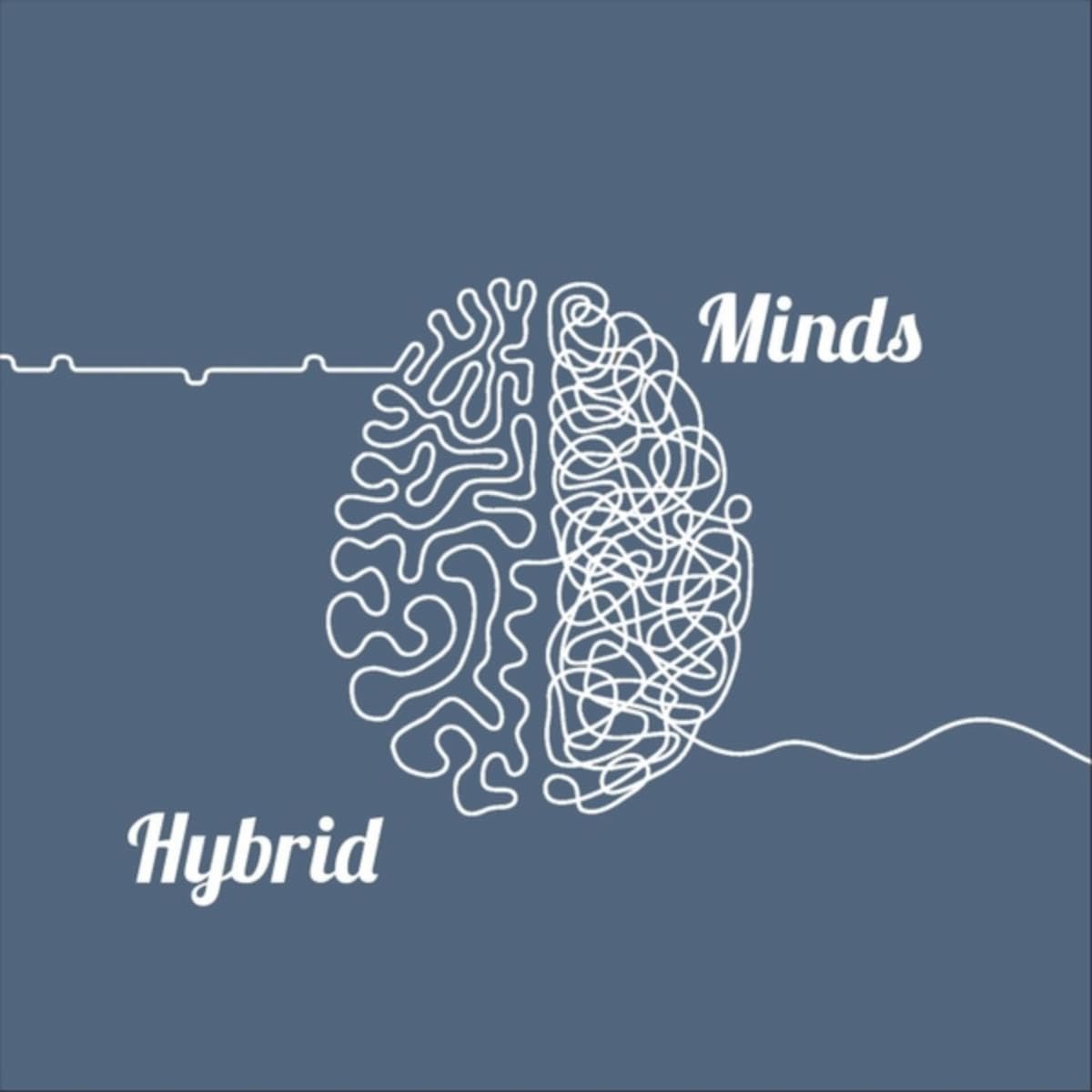 Hybrid Minds