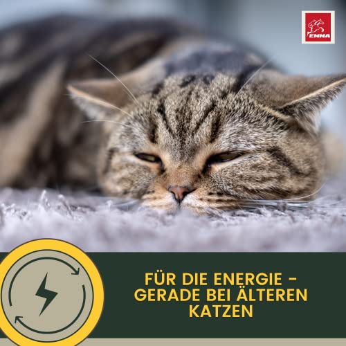 EMMA Katzen Vitamine Multivitamin 100 ml | Vitamin B Komplex mit B12 B6 B1 A D3 E | Mineralien Folsäure Eisen Zink Selen & L-Lysin | Immunsystem stärken, Fell & Stoffwechsel Katze