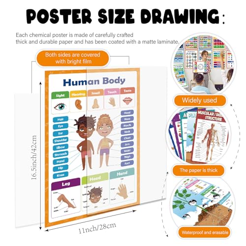 Carteles educativos interactivos para resolver la falta de concentración en el estudio 2