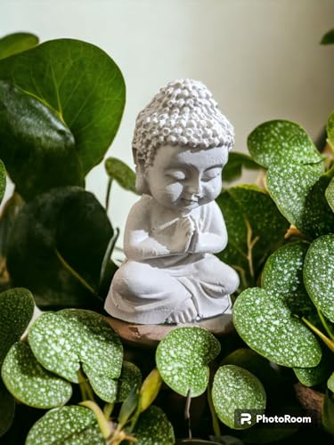 Image of Vanli Miniature Buddha Idol /Statue /Showpiece for Home, Car & Office Decor (Combo of Both)