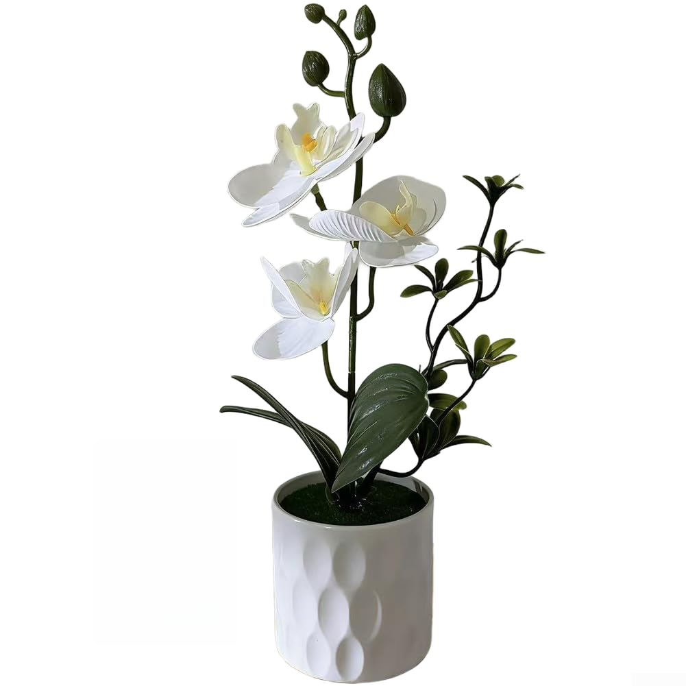 Startbuymore Artificial Orchid Arrangement Mimicking Real Phalaenopsis with Textured Leaves and Defined Bloom Clusters for Depth (A)