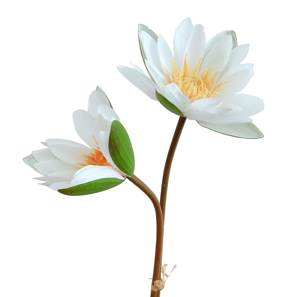 BQEE Artificial Water Lily Bouquet, Artificial Lotus,60cm/23.6 inches, 2 Flower Sticks for Wedding, Home, Office Decor (white)