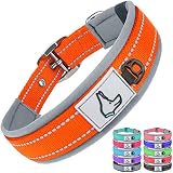 Dynmeow Dog Collar,Double Layer Reflective Thick Nylon Built,Neoprene Padded,Soft and Breathable,11