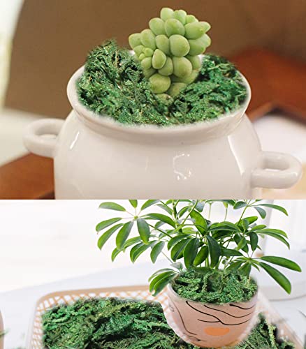 35 Oz Fake Moss For Potted Plants Artificial Moss For Fake Plants Faux Moss For Planters Decorative Moss For Craft And Home Decor #TOP2