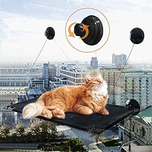 Katzen Fensterliege Hängend, Fenster Katzenhängematte, Hängematte Katze, Indoor Fensterplätze für Große und Klein Katzen Halten bis zu 23KG (Flanell-Schwarz)
