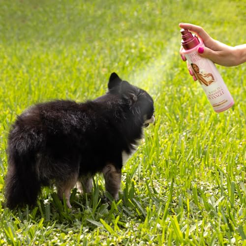 Paris-Hilton-Dog-Perfume-Deodorizer-Detangler-Odor-Neutralizing-with-Sweet-Floral-Apple-Blossom-Scent-Sulfate-Free-Vegan-Hypoallergenic-for-All-Pet-Breeds-10oz295ml Paris Hilton Dog Perfume Deodorizer Detangler Odor Neutralizing with Sweet Floral Apple Blossom Scent Sulfate Free Vegan Hypoallergenic for All Pet Breeds 10oz295ml