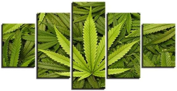 FMSD-5 Piezas Impresión Lona Pintura Lona Hojas Verdes Marihuana - Naturaleza Lienzo Arte de la Pared pósters e Impresiones Arte de la Pared Decoración de la habitación de los niños Cuadro