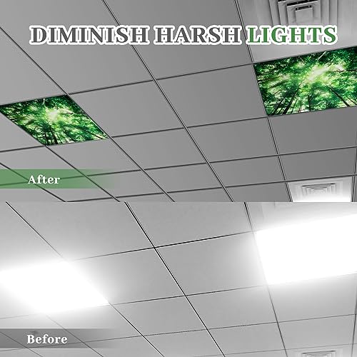 Image of VIHOSE 4 Pcs 2 x 2 Feet Fluorescent Light Covers for Ceiling Lights Classroom Magnetic Light Filters for Reducing Harsh Glare Flicker for Office Classroom Home Drop Ceiling(Forest)