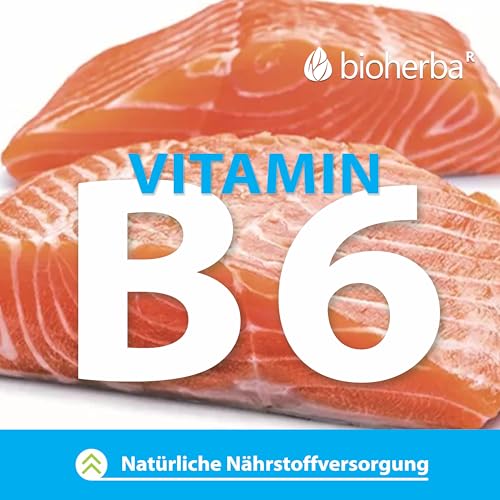 Johanniskraut Kapseln – 200 Stück mit 260 mg pflanzlicher Komplex mit Vitamin B6 von BIOHERBA PZN 17191352