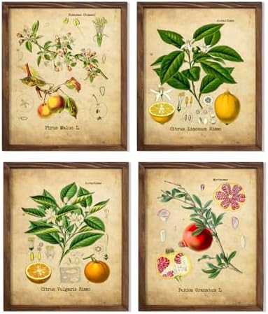 Vintage Botanical Fruits Art Print Set Featuring Lemon Orange Pom...