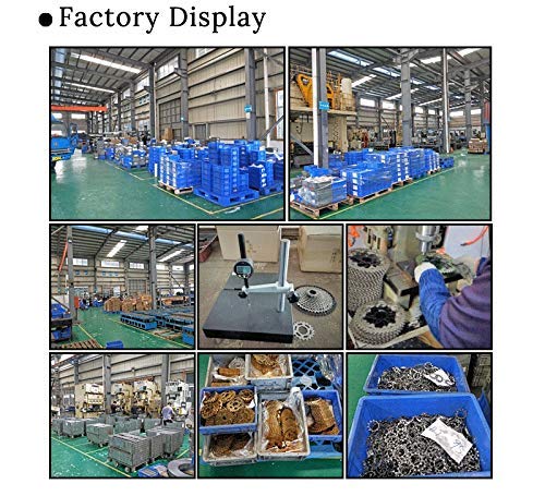 Bolany Pignone per ruota libera a cassetta, 11-32T...