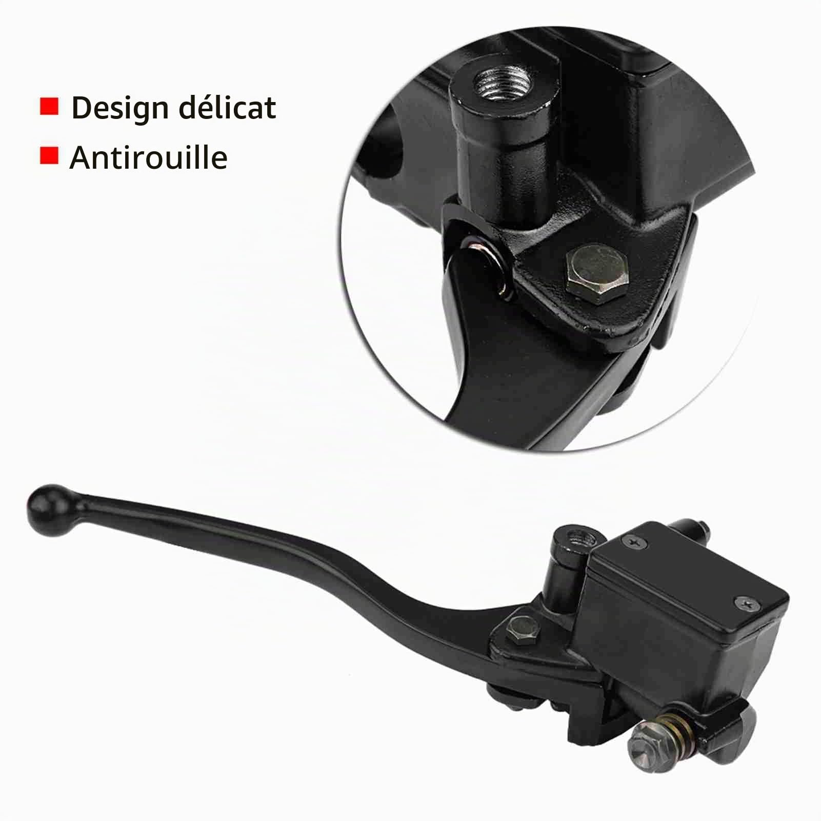 Qiilu Maître-cylindre de frein pour moto Rancher Sportrax Rincon 250 350 400 450 – Aluminium haute résistance, antirouille, remplacement direct de la pièce d'origine