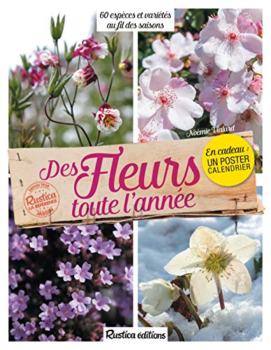 Télécharger Des fleurs toute l'année : 60 espèces et variétés au fil des saisons livre En ligne