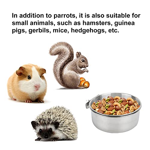 Bird Feeding Dish Cups 3 Pack Parrot Food Bowl Cage With Clamp Holder Stainless Steel Birdcage Coop Water Feeder For Cockatiel Conure Budgies Parakeet Macaw Finches Lovebirds Small Animal #TOP4