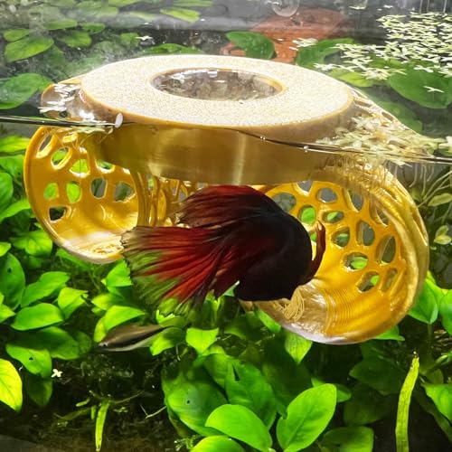 Image of Floating Betta Tunnel for Betta Training. Interactive Training & Enrichment Toy for Betta Fish - Stress Relief & Exercise Accessory, Floating Betta Fish Toys
