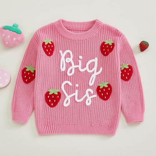 Kids Toddler Girls Pullover Sweater Big Sis Strawberry Embroidery Long Sleeve Knit Tops Fall Winter Clothes2