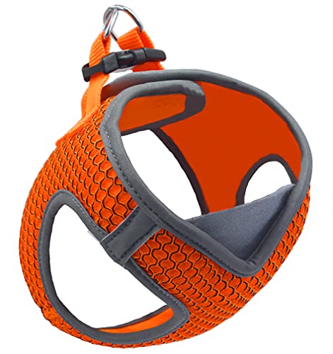 KRUZ PET KZA308-08L Reflective V-Neck Step in Mesh Dog Harness - No Pull, Quick Fit, Comfortable, Velcro-Adjustable Pet Harnesses for Walking & Training - Small, Medium Dogs - Orange,Large