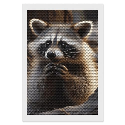 Kit d'art diamant adulte Raton Laveur broderie diamants ronds peinture 30x40cm