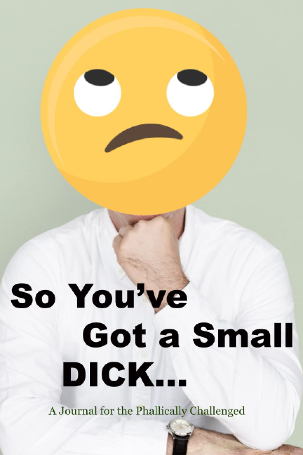 So You've Got a Small Dick...: A Journal for the Phallically Challenged