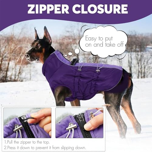 Manteau isolant pour chien protégeant du vent et du froid
