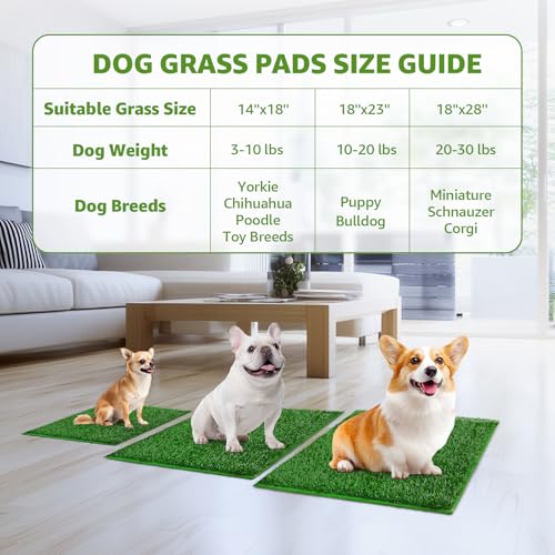 Image of LOOBANI Dog Grass Pee Pads, Artificial Dog Grass Pads for Potty Tray, Fake Grass for Dogs to Pee On, Outdoor Indoor Pee Grass for Dog Potty (18.1*28.1 inch)