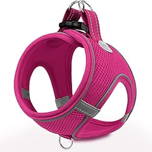Joytale Arnes Perro, Reflectante Cómodo Transpirable Arnés, Perros Arneses Chaleco para Gato y Cachorros Perro, Rosa Caliente, S