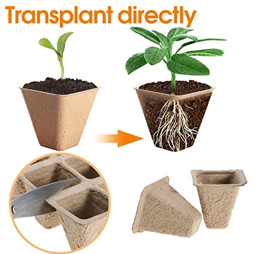 Jumlaner 100 Cells Peat Pots Seed Starter Trays Biodegradable Seed Tray 10 Packs Plant Starting Kits For Seedlings With 120 Pcs Plant Labels Nursery Pots For Gardening Vegetable Succulent House Plant #TOP2