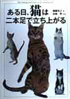 モスアゲート 猫 2本足 注意点説明あり モスアゲート 猫 2本足 注意点説明あり