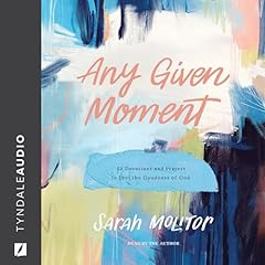 Any Given Moment Audiolibro Por Sarah Molitor arte de portada