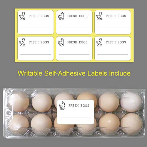 image for COLOANDUS Large Plastic Egg Cartons 30 Packs with Sticker Labels for 1