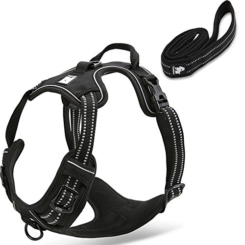 OLizee Reflective Nylon No-Pull Dog Harness and Training Leash Set Padded Durable Adjustable(XL, Black Set)