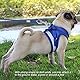 5mm x 5m Stahlleine Langdraht Hundekabel mit Ketten Edelstahl Dual Fix Bucklelweight Outdoor Yard Camping (Blau)