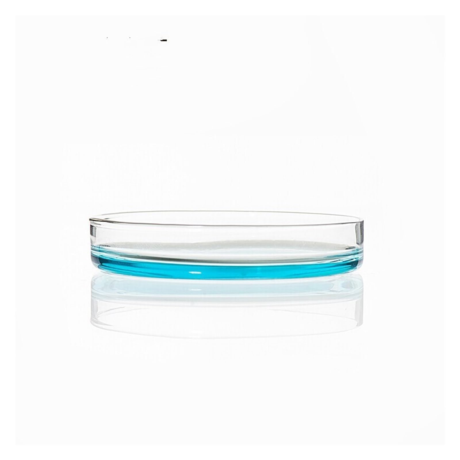 10 Uds. 1 Lote/placa De Petri De Vidrio De Borosilicato Transparente Con Cubierta Resistente A Altas Temperaturas For 60mm
