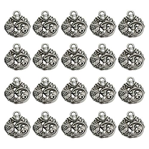 Preisvergleich Produktbild Fenical Retro Legierung Lotus Karpfen Anhänger Charms DIY Schmuckherstellung Zubehör für Halskette Armband (Antik Silber) 20 stücke
