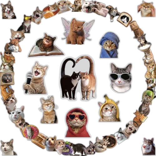 100 Pcs Cat Stickers Cute Meme Stickers Bulk Waterproof Transparent Vinyl