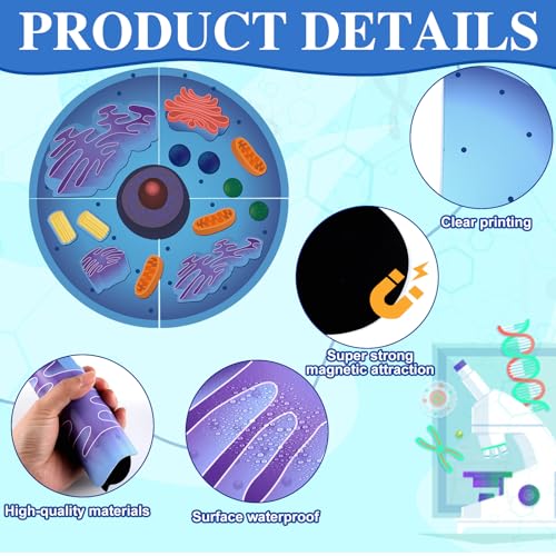 Image of 2 Set Magnetic Animal and Plant Cell Anatomy Biology Model Set
