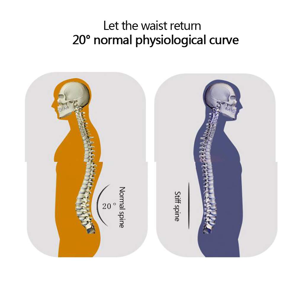 Faja Lumbar Fitness - Soporte tracción de Hernia de Disco Lumbar, tensión Muscular Lumbar, Soporte Lumbar,XXXL