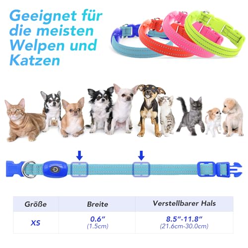 YFbrite Leuchtende Hundehalsbänder, USB-aufladbares LED-Hundehalsband, verstellbares LED-Katzenhalsband für Katzen, Welpen, kleine, mittelgroße und große Hunde (Blau, XS)
