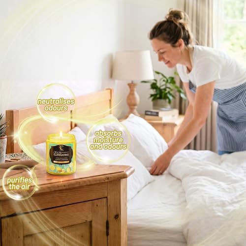 Image of Odor Eliminating Candle, Soy Scented Candles, Lemon Lavender 7oz