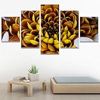 SIGNWIN 5 Panel Canvas Wall Art Botanical Chic Closeup Expressive Multicolor Photography Realism Ultra for Home Decorations Ready to Hang - 60