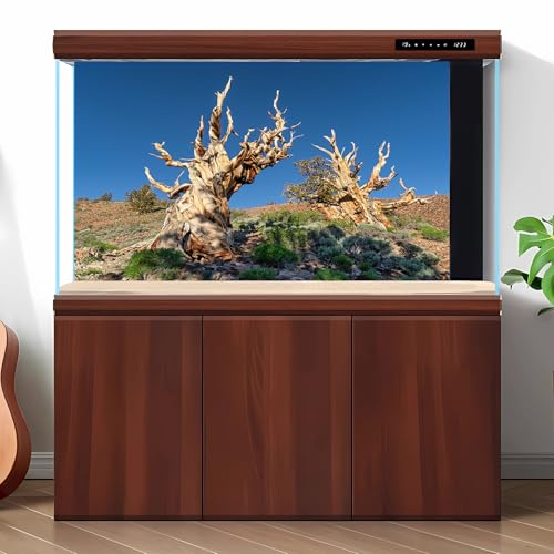 Pine Trees Reptile Tank Background Rocky Mountain Ancient Bristlecone Pine Forest Aquarium Background Blue Sky Gobi Barren Thorns Fish Tank Background Pine Tree Reptile Enclosure Background 36x18in