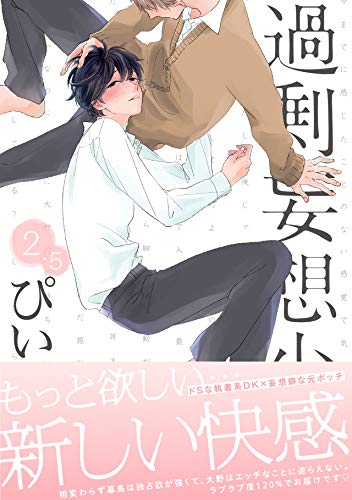 過剰妄想少年2.5巻 (ふゅーじょんぷろだくと)