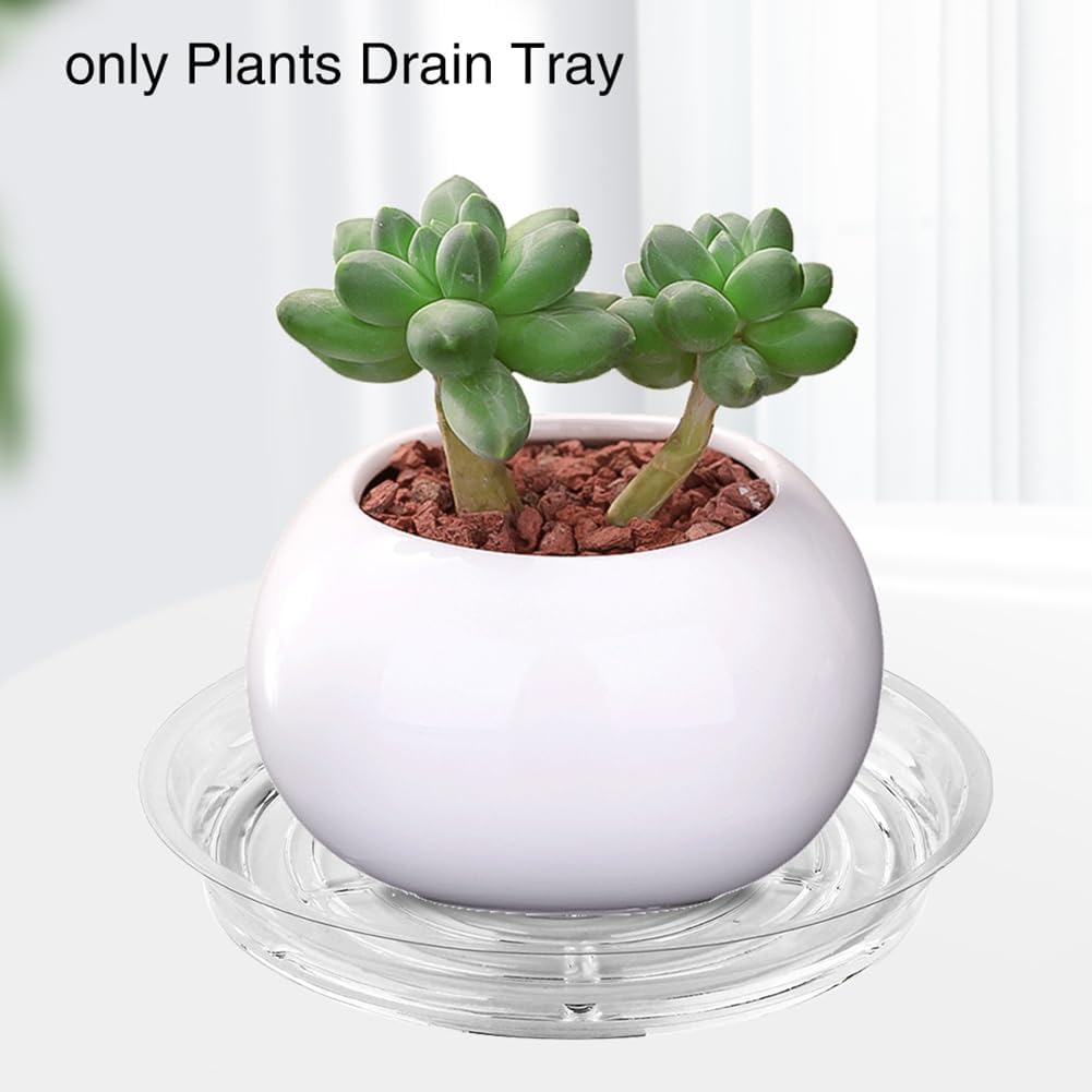 Plant Saucers,10pcs Clear Flower Pot Tray Drip Trays Plant Plate Dish for Indoor & Outdoor Plants (6 inch / 8inch / 10inch / 12inch) 10Inch
