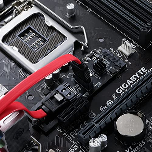 MZHOU Adattatore 2 Porte SATA M.2, Supporto M.2