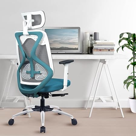 Green Soul Zodiac Pro Office Chair, High Back Mesh Ergonomic Home Office Desk Chair with 2D Adjustable Armrests, Adjustable Lumbar Support, Synchro Multi-Tilt Lock Mechanism & Metal Base(Teal & White)