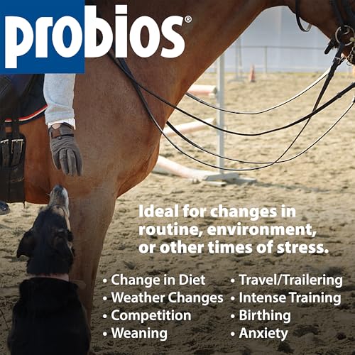 Probios Horse Probiotic Soft Chews, Apple Flavor, 1.32 lb | Gut health, Digestive support, Immune health, Apple flavor - Image 7