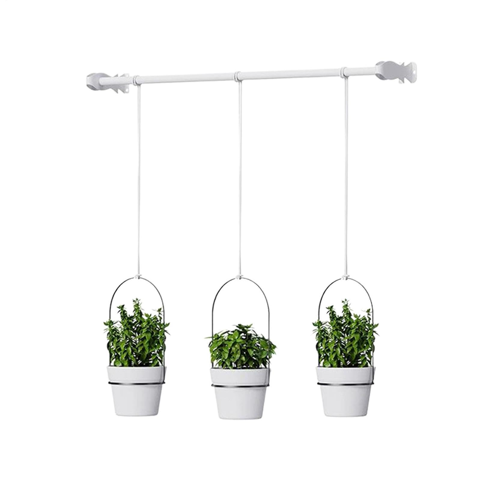 Generico Pots pour | Pot de fenêtre suspendu avec tige réglable, pour balcon, mur, jardin, cuisine, salon, chambre, salle de bain